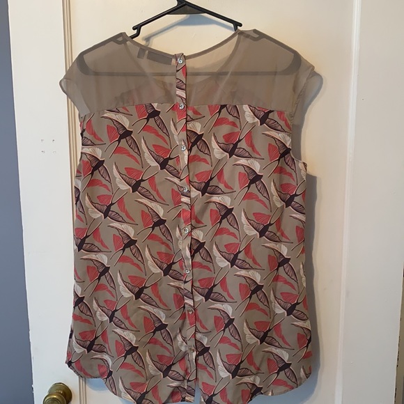 Apt 9 gorgeous sheer bird motif shell. Unique back - Picture 5 of 8